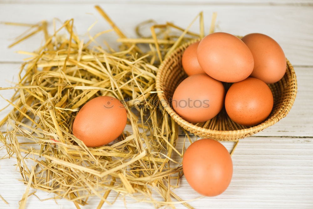 Similar – Natural eggs in nest