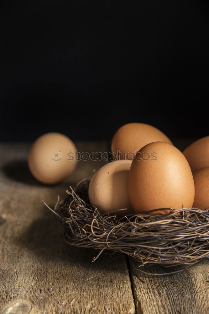 Similar – Image, Stock Photo Fresh chicken eggs in the nest on a rustic background