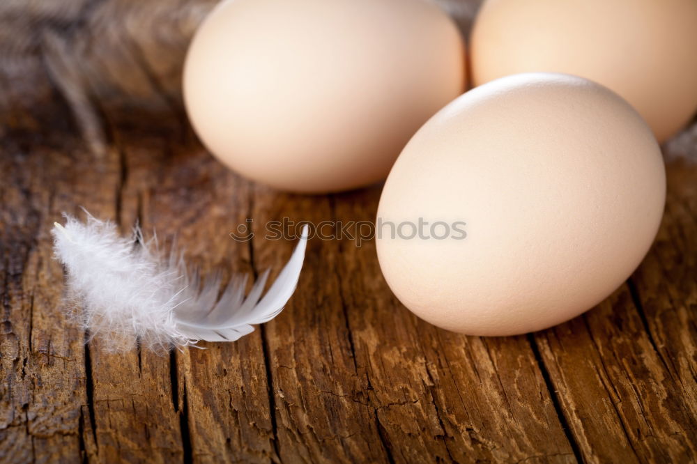 Similar – Image, Stock Photo Hand brushes table with white paint