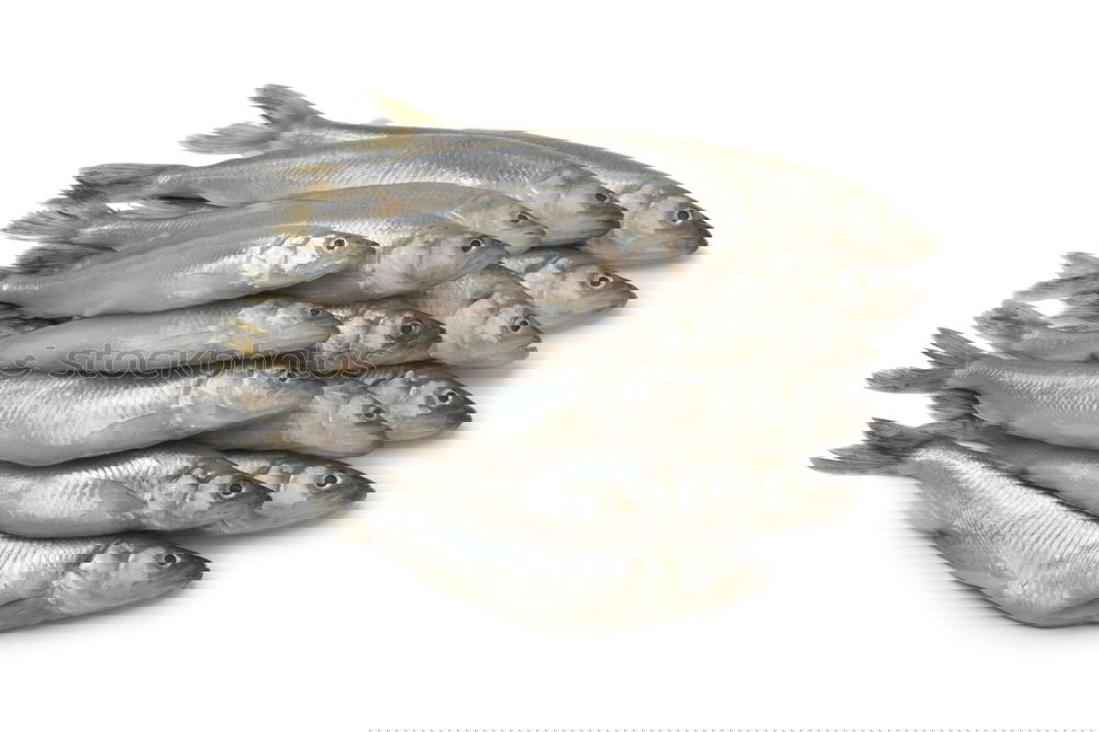 Similar – Image, Stock Photo Dried in salt fish rammed in scales