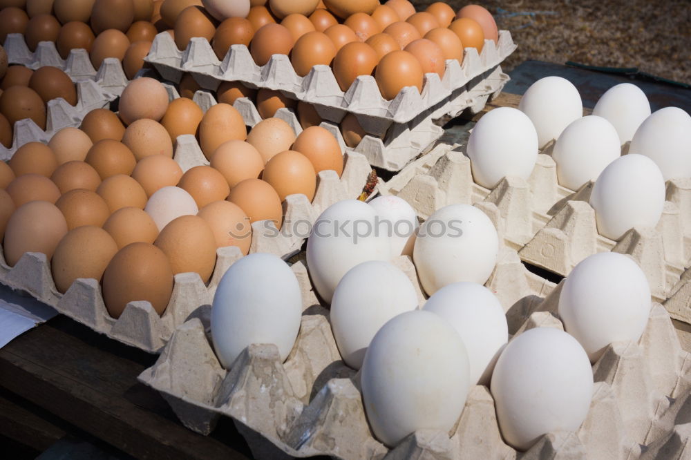 Similar – eggs Food Egg Eggshell