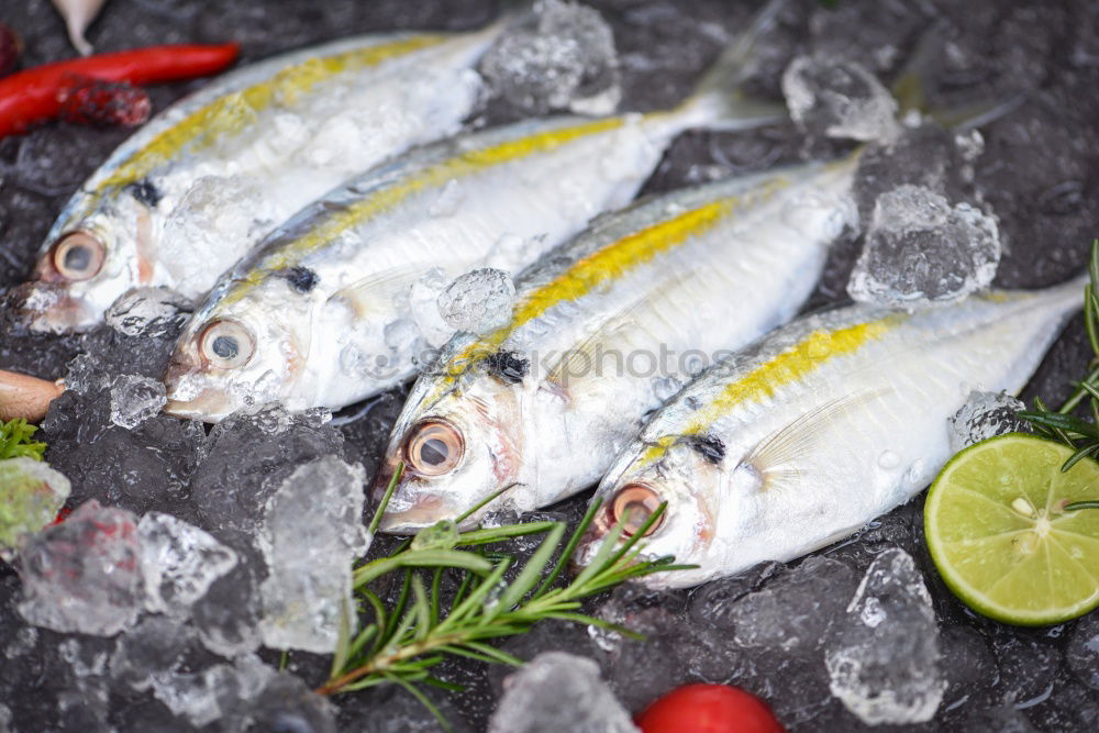 Similar – Image, Stock Photo two whole mackerels Fish