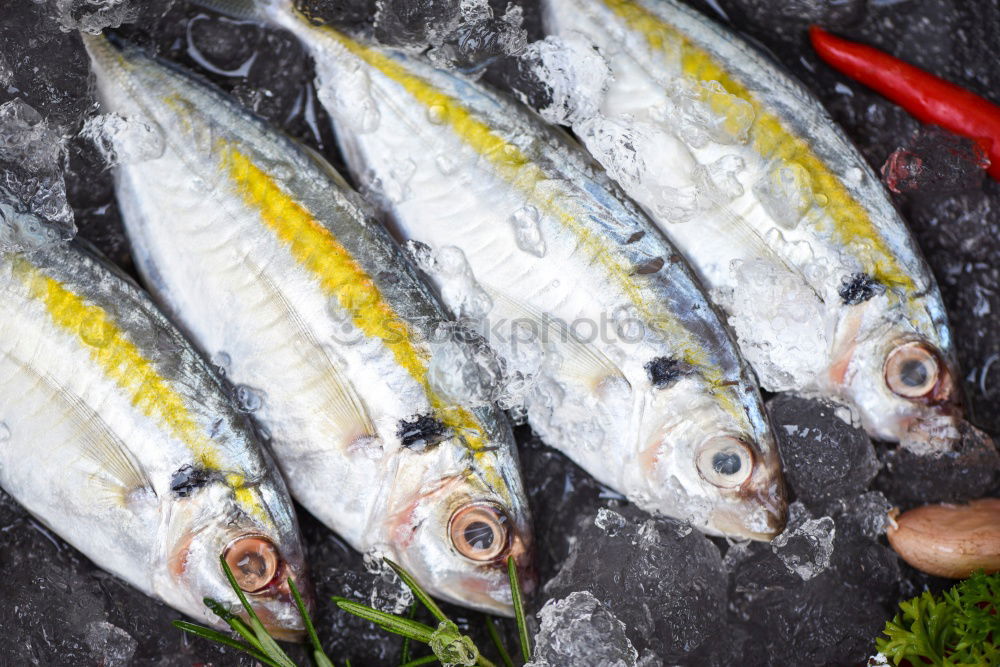 Similar – Image, Stock Photo mackerels Fish Nutrition