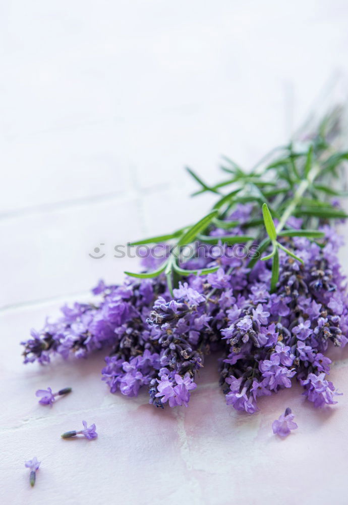 Homemade jam from the lilac