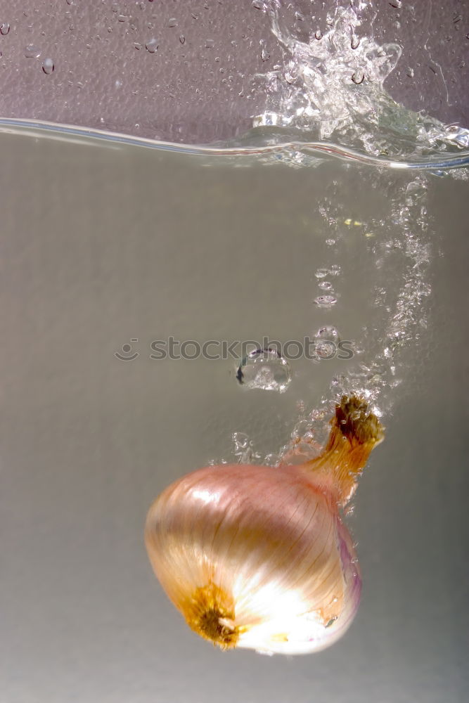 Similar – Image, Stock Photo Close up Side Angle Golden Jellyfish Blue Green Background