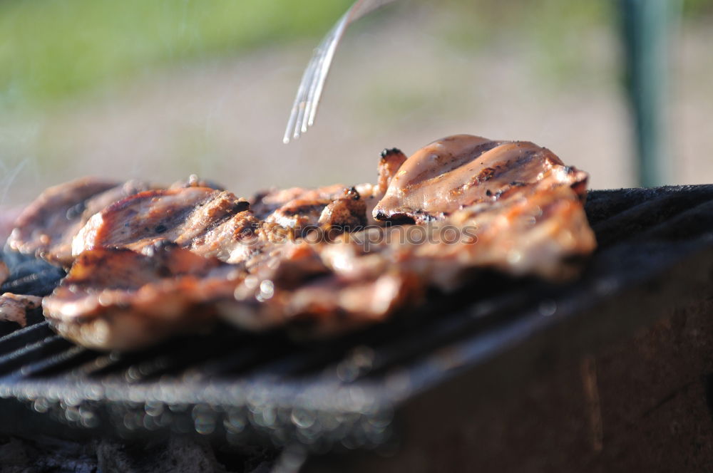 Similar – Image, Stock Photo barbecue Nutrition Dinner