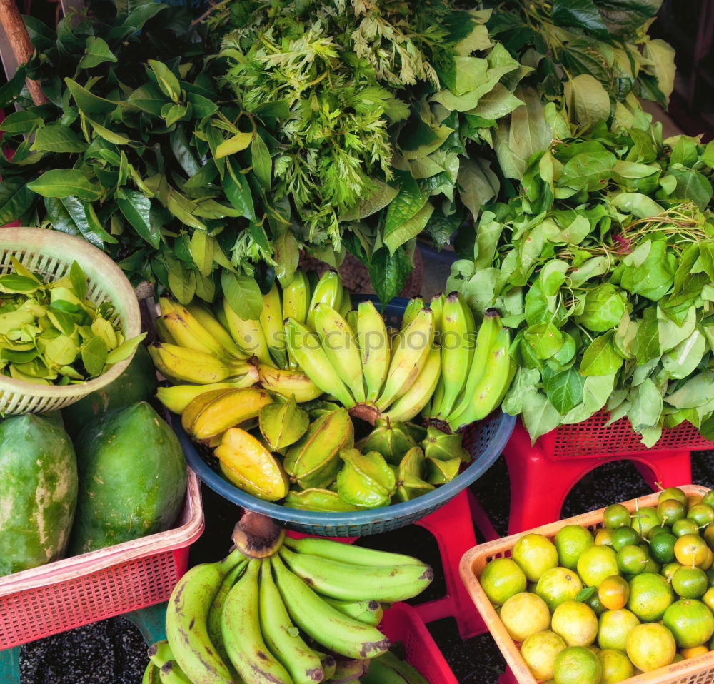 Similar – Image, Stock Photo Hanoi, Vietnam