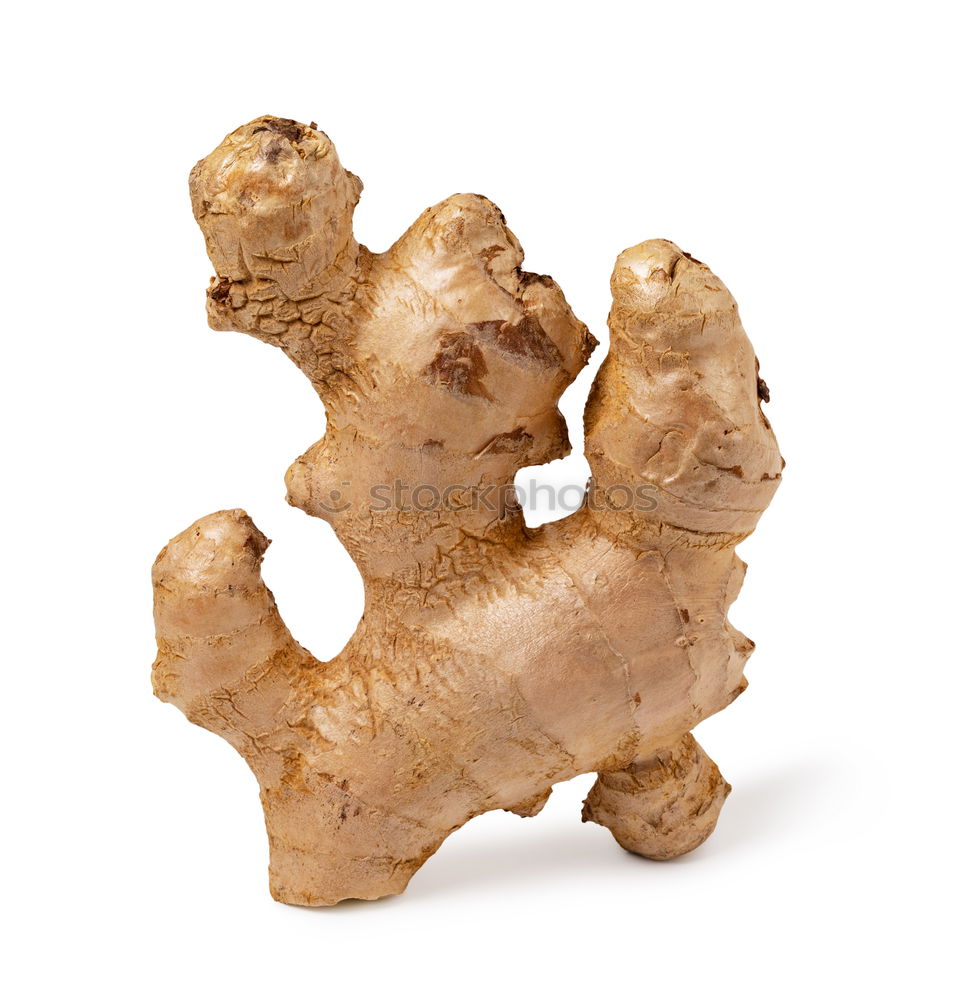 Similar – ginger Art Esthetic Ginger