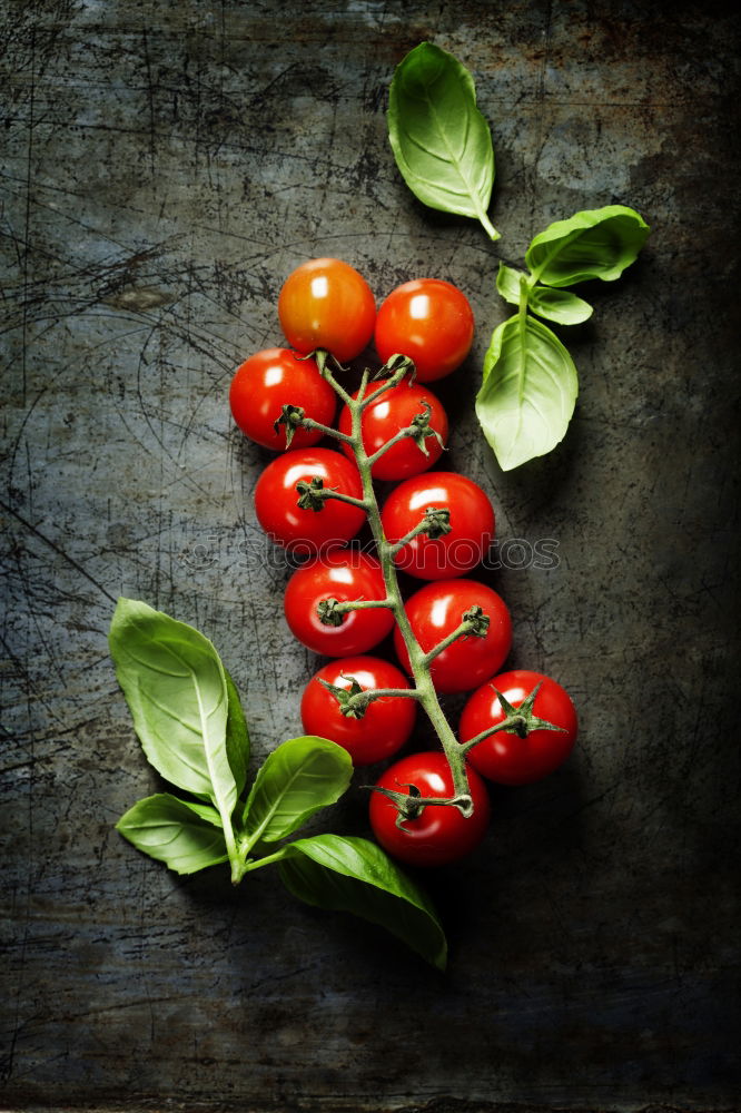 Image, Stock Photo Radish on dark background