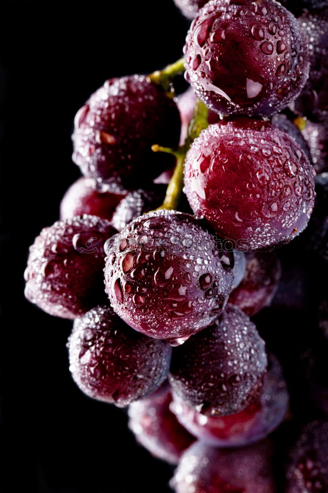 Similar – Image, Stock Photo Frozen cherries Food Fruit