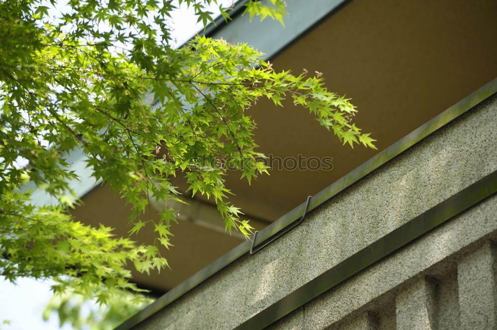 Similar – Image, Stock Photo blue sky used to be Sky