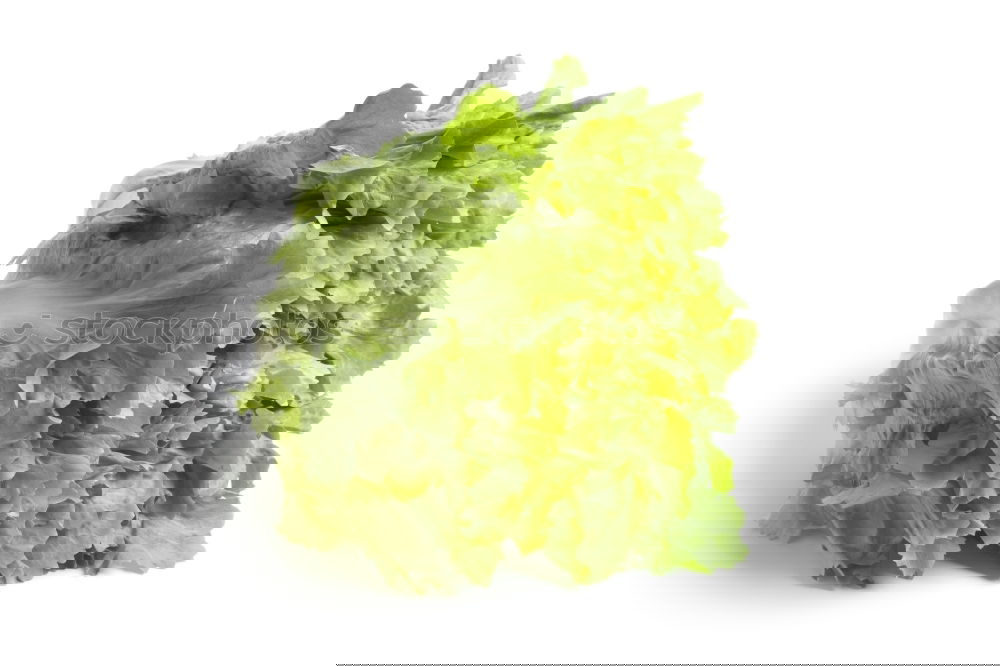 Similar – Image, Stock Photo HuiPuh the herb ghost