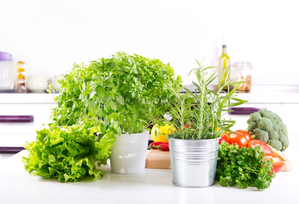 Similar – Green vegetables and greens in open refrigerator