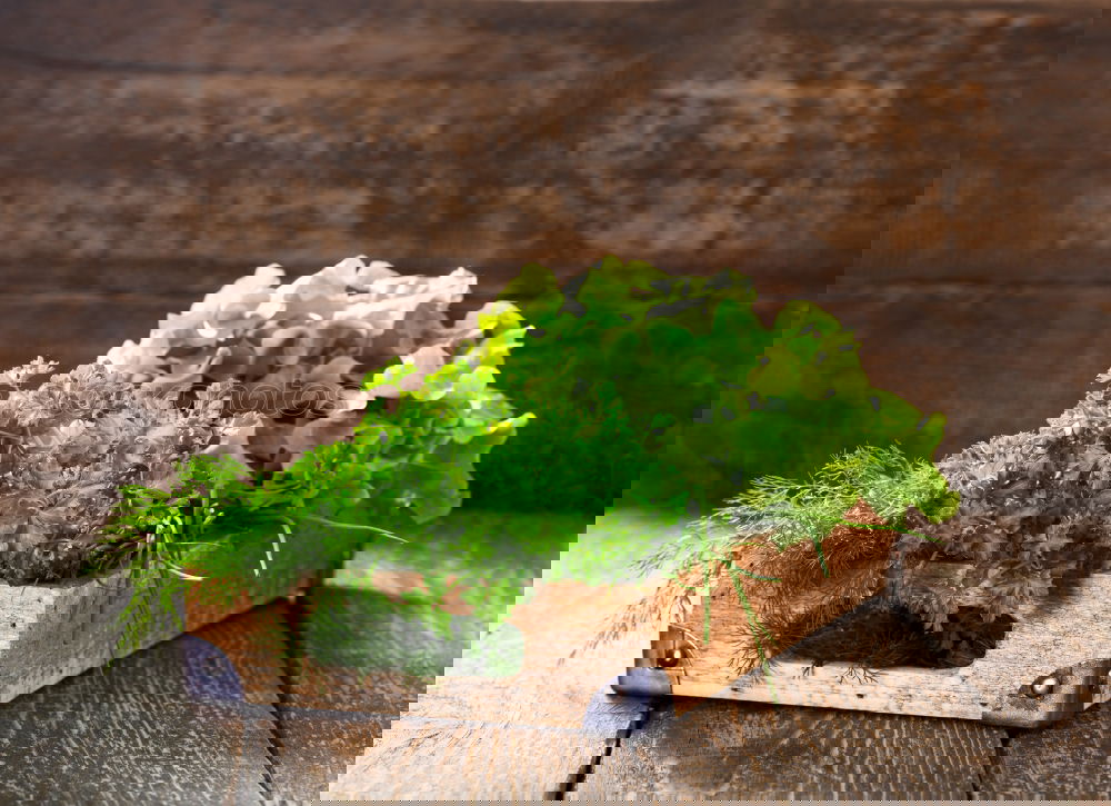 Similar – Image, Stock Photo Green vegetables Food