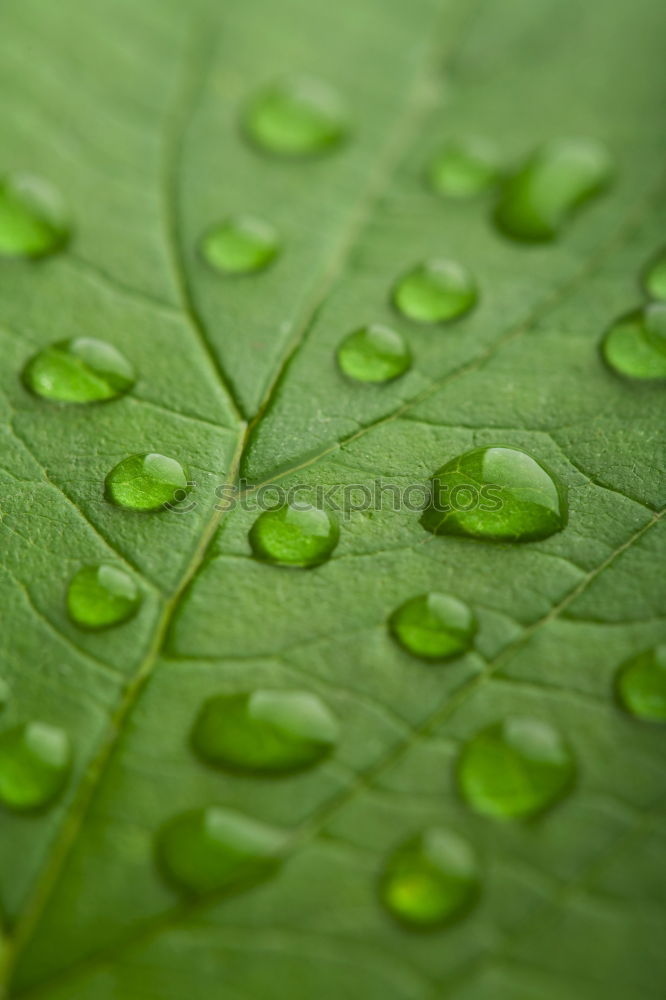 Similar – Image, Stock Photo water drops Style