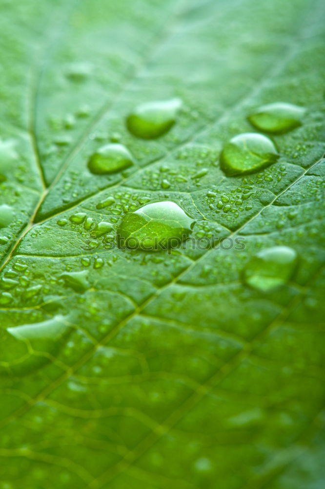 Similar – Image, Stock Photo water drops Style