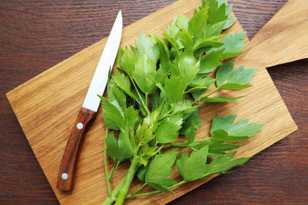 Similar – Image, Stock Photo cut Food Herbs and spices