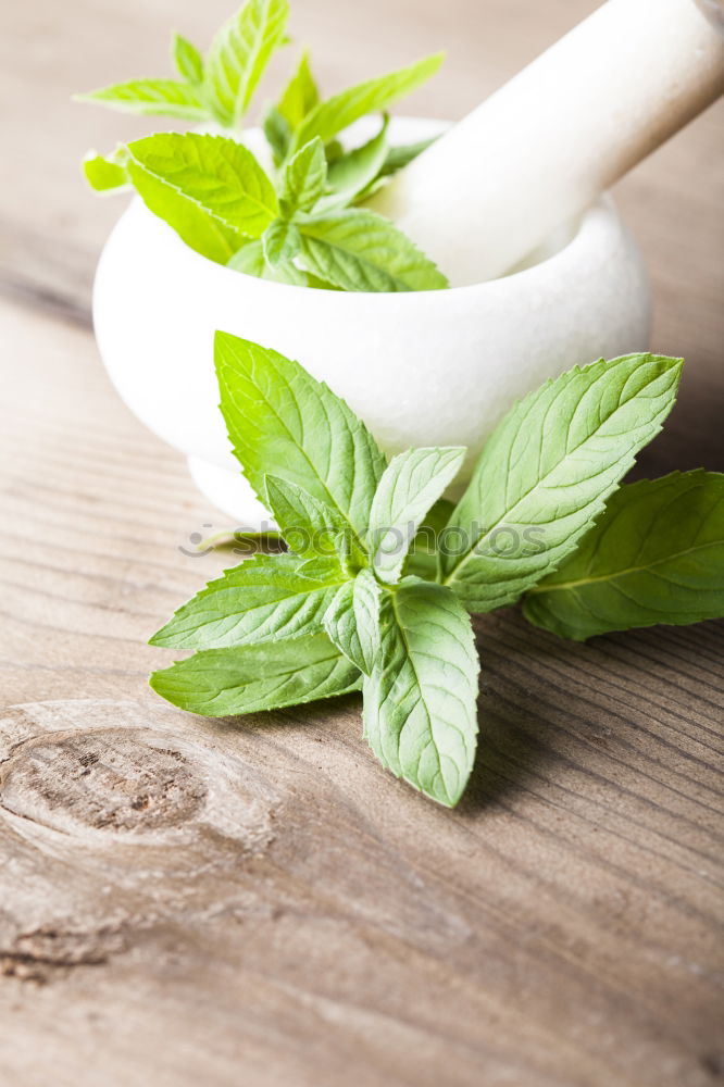 Similar – Image, Stock Photo Licorice Mint Tea Beverage