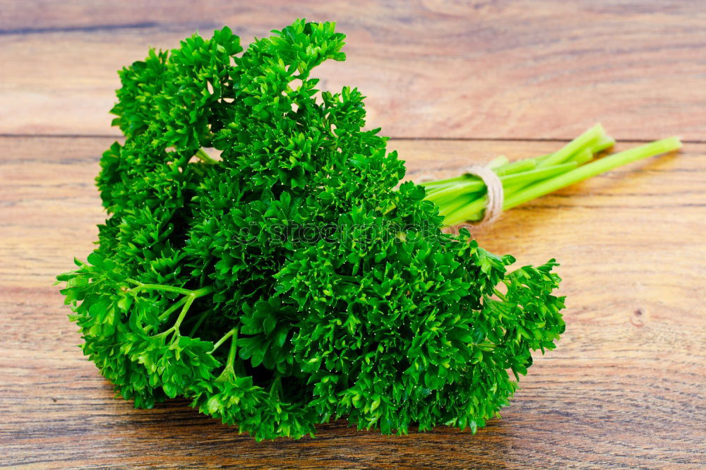 Similar – Image, Stock Photo parsley Parsley