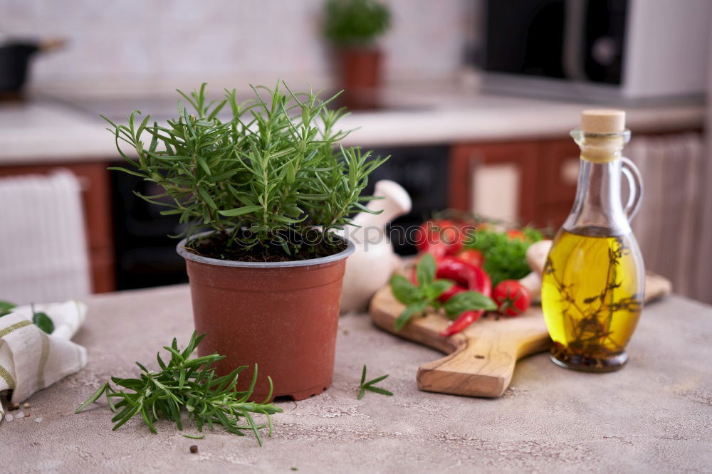 Similar – Image, Stock Photo cut Food Herbs and spices