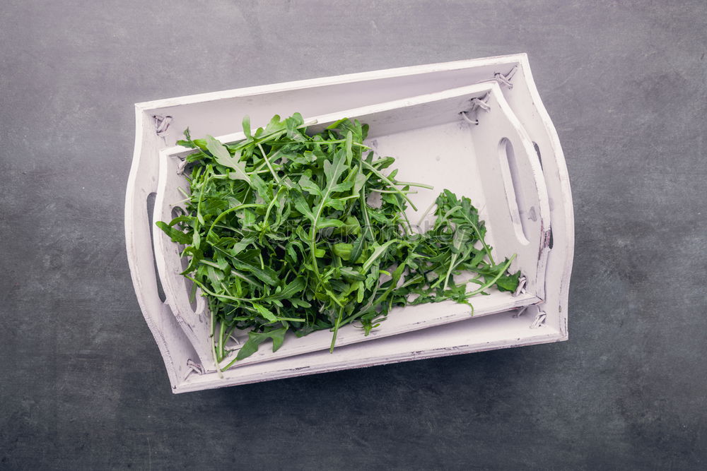Similar – Image, Stock Photo salad Food Vegetable