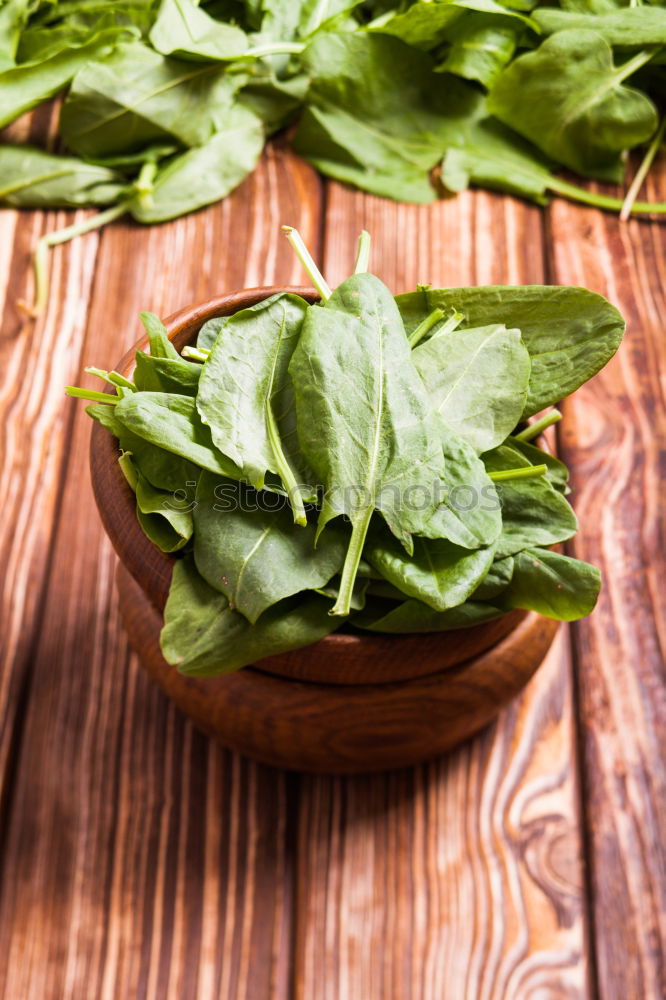 Similar – Image, Stock Photo Organic lamb’s lettuce