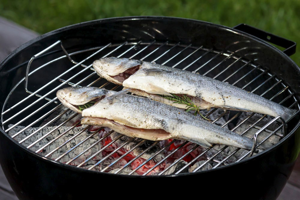 Similar – Image, Stock Photo Fish Pan Rosemary
