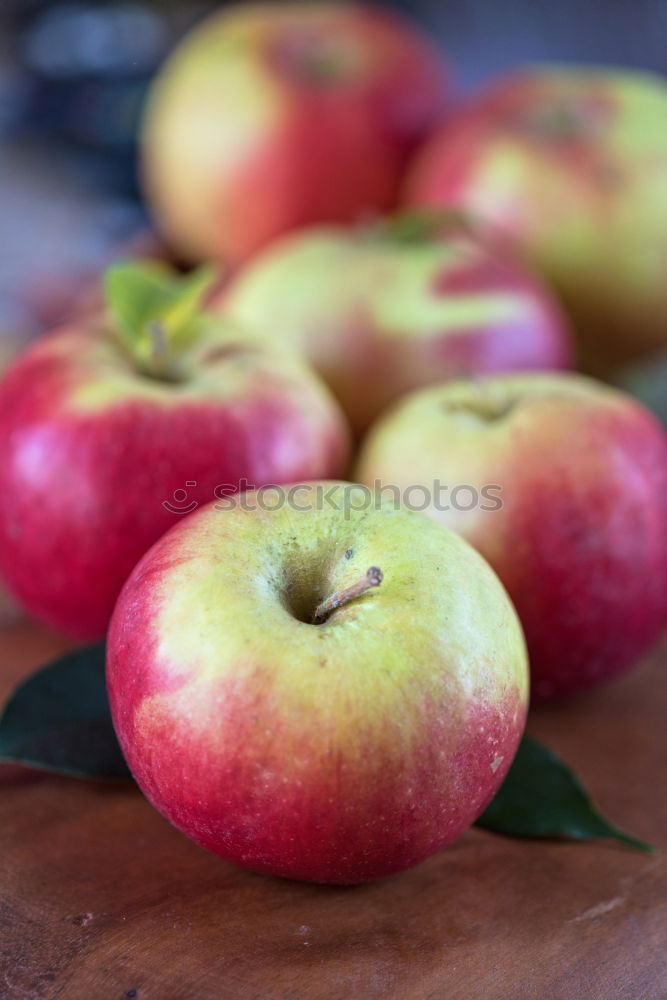 Similar – Image, Stock Photo peaches Food Fruit Peach