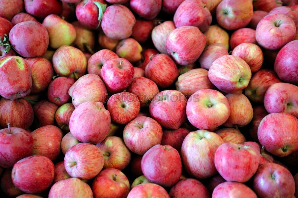 Similar – Image, Stock Photo Still life with mirabelle plums