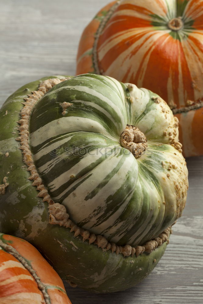 Similar – Image, Stock Photo pumpkin basket Food Fruit