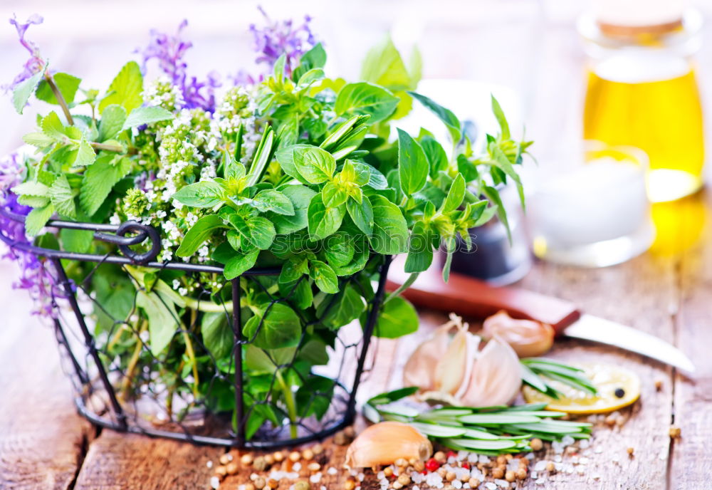 Similar – Image, Stock Photo Melissa leaf or lemon balm