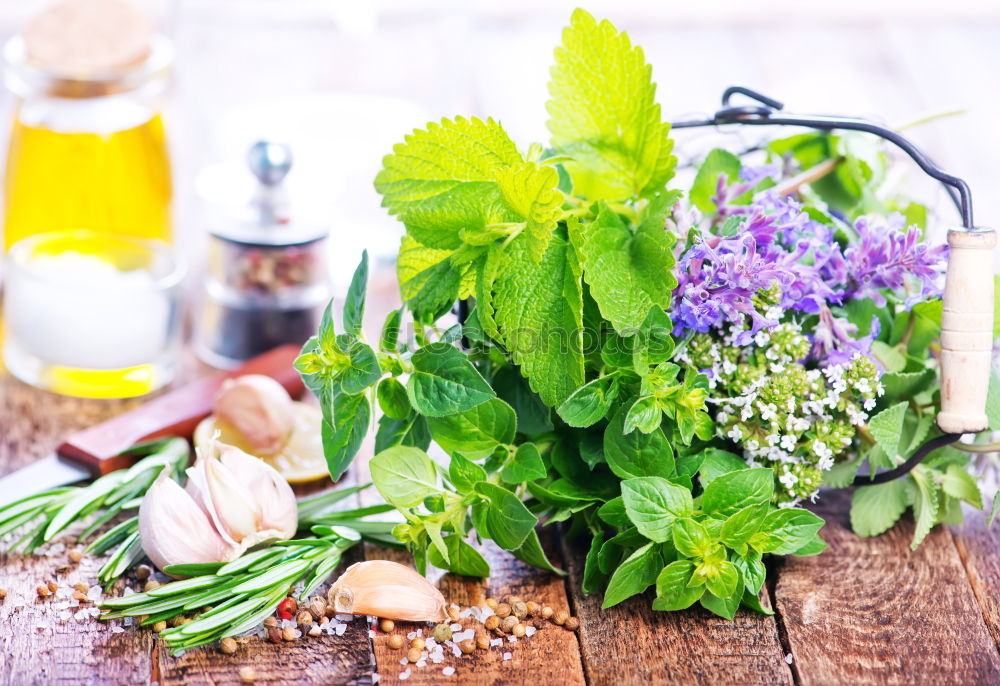 Similar – Image, Stock Photo Melissa leaf or lemon balm