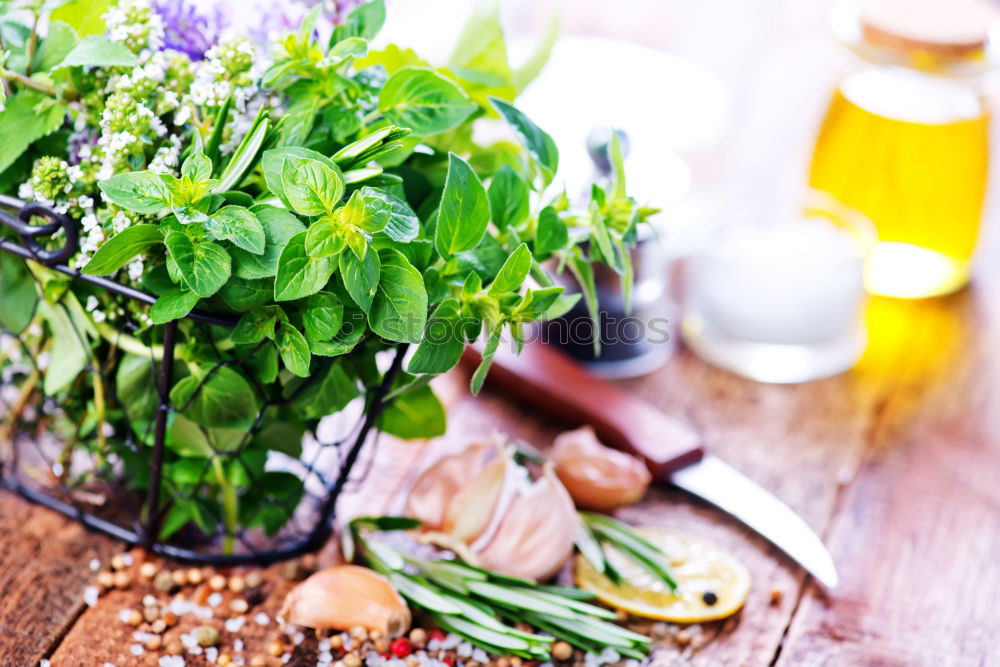 Similar – Image, Stock Photo Melissa leaf or lemon balm