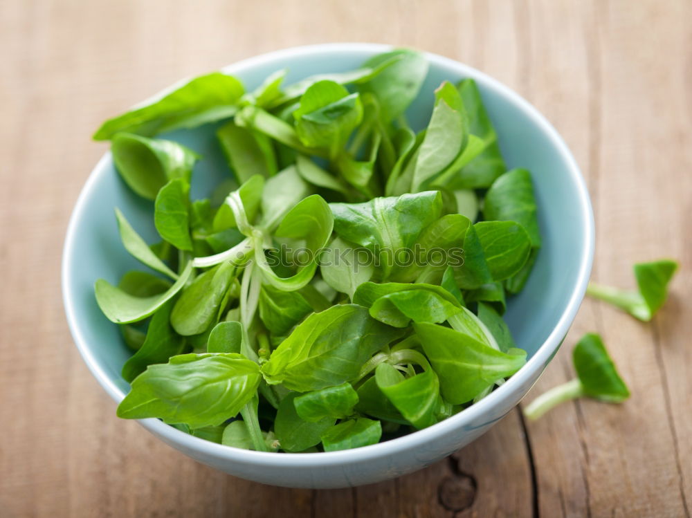 Similar – Image, Stock Photo Organic lamb’s lettuce