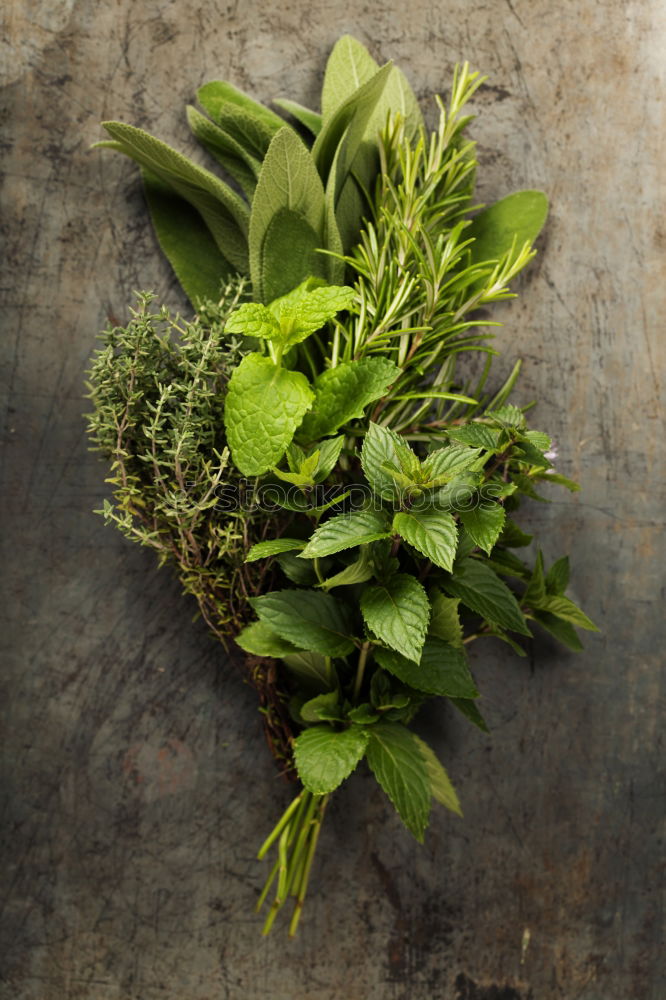 Sage bundle in glass on wood background