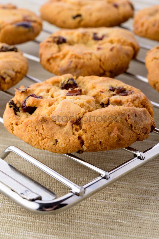 Similar – Image, Stock Photo Beautiful woman Preparing Cookies And Muffins.