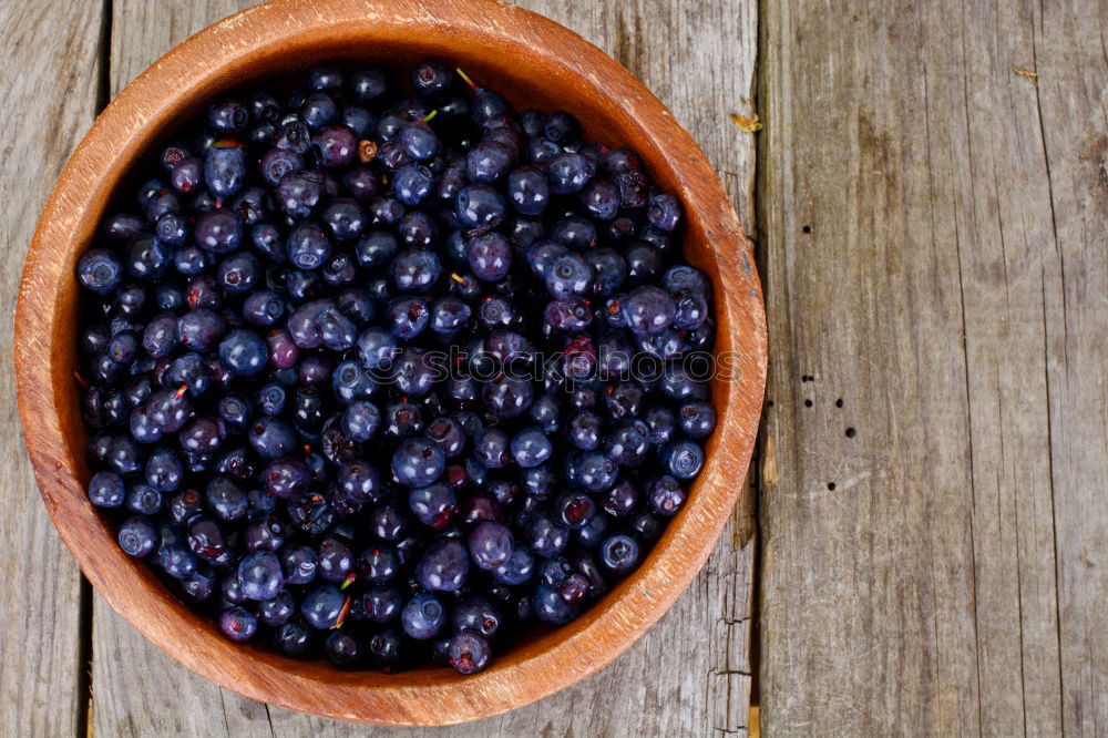 Similar – Image, Stock Photo Tasmanian mountain pepper