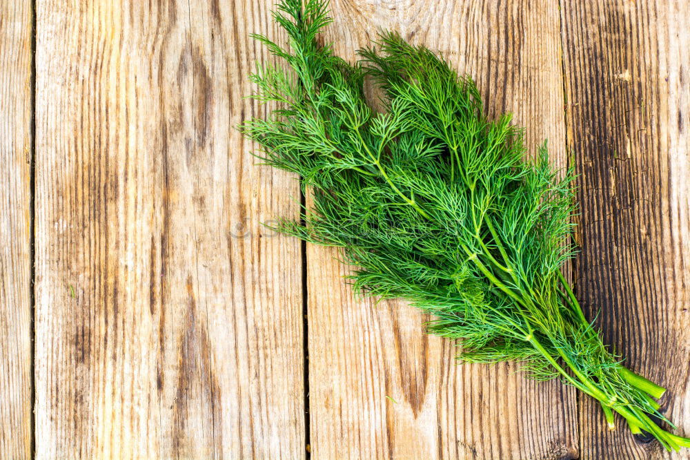 Similar – Rosemary twigs on wood