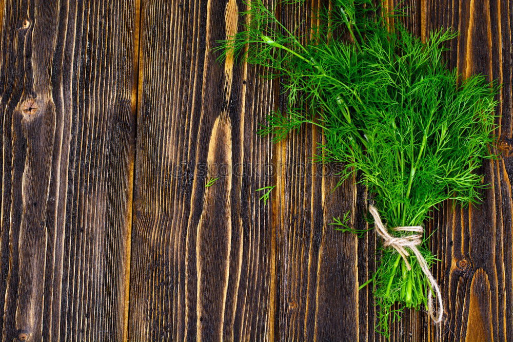 Similar – Rosemary twigs on wood