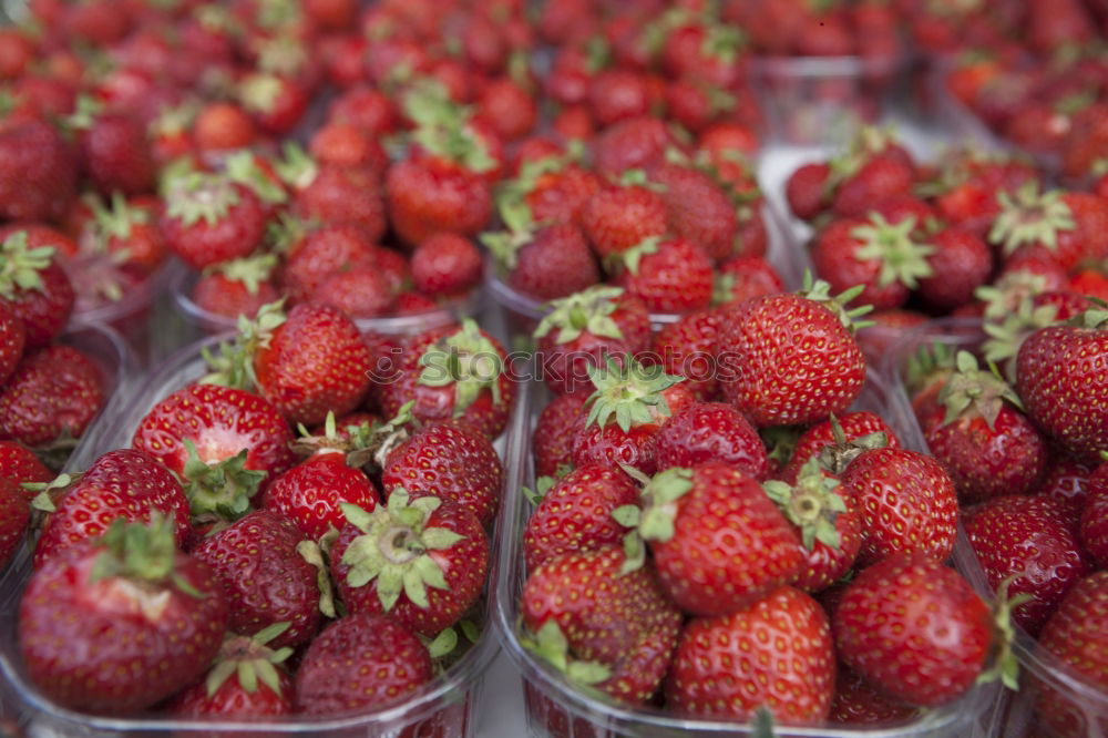 Similar – Erdbeeren Frucht Ernährung