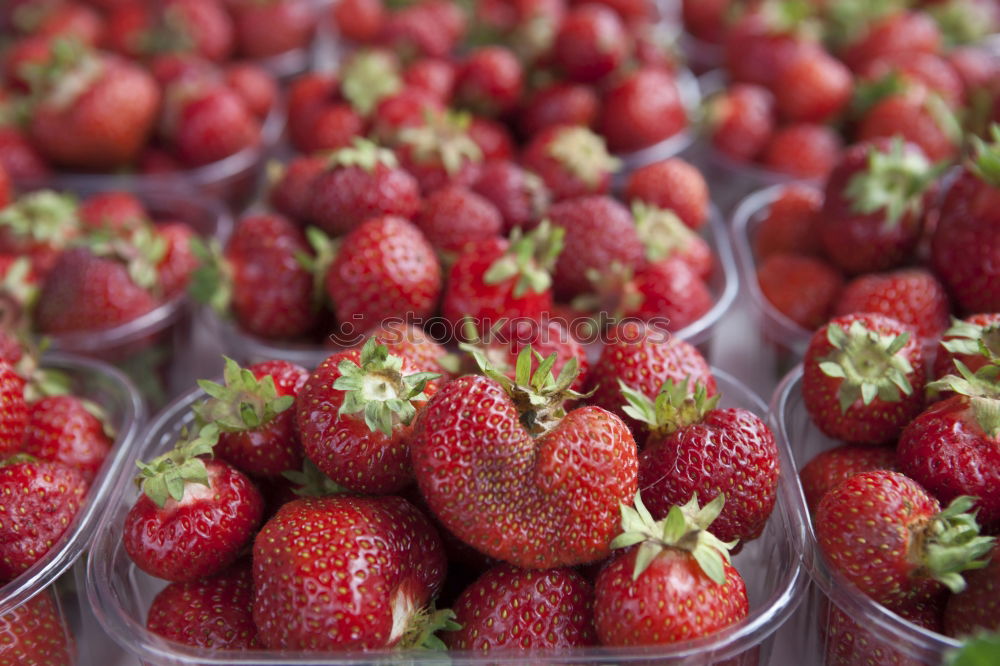 Erdbeeren Frucht Ernährung