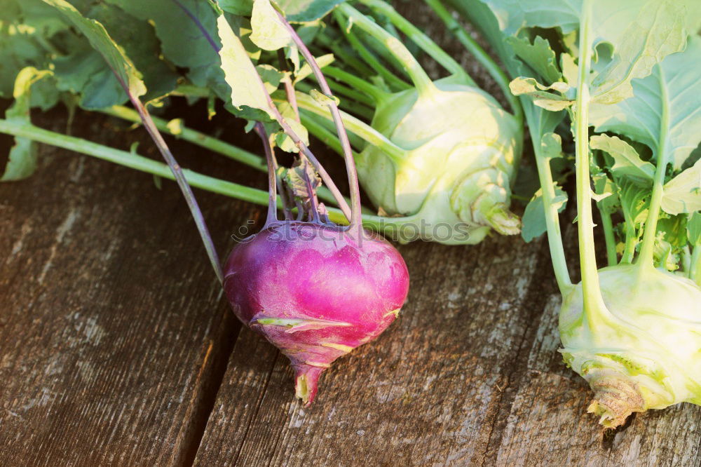 Similar – Image, Stock Photo Picking red beets