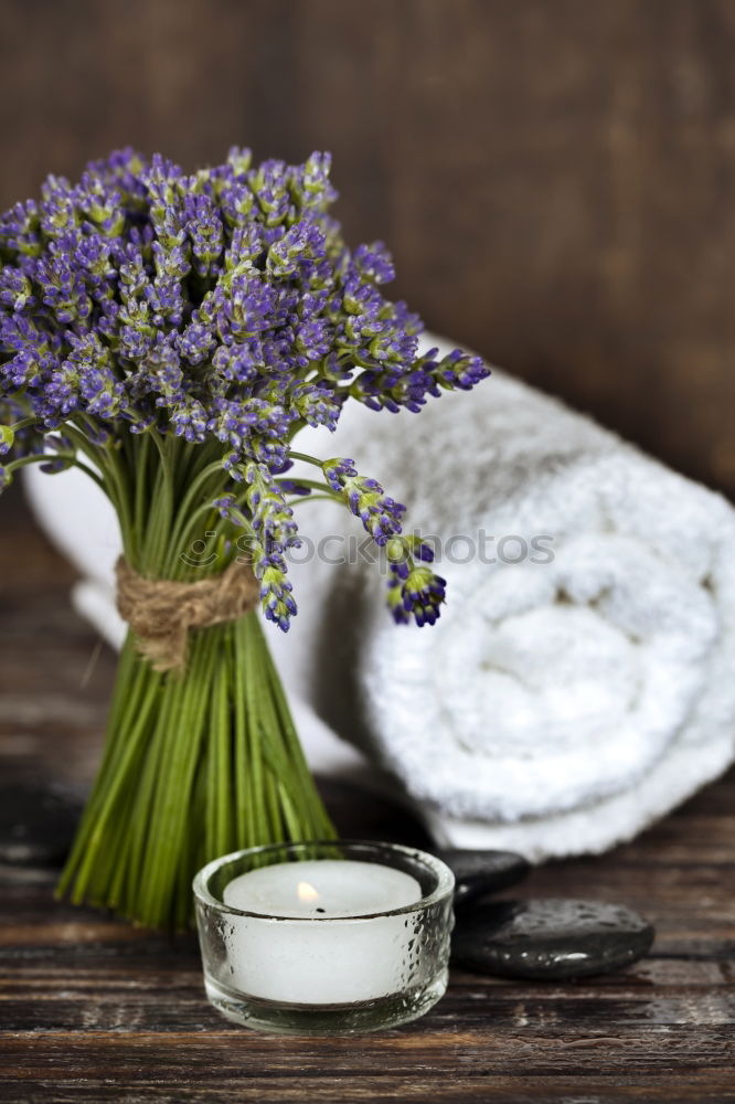 Similar – tea with lavender. flower