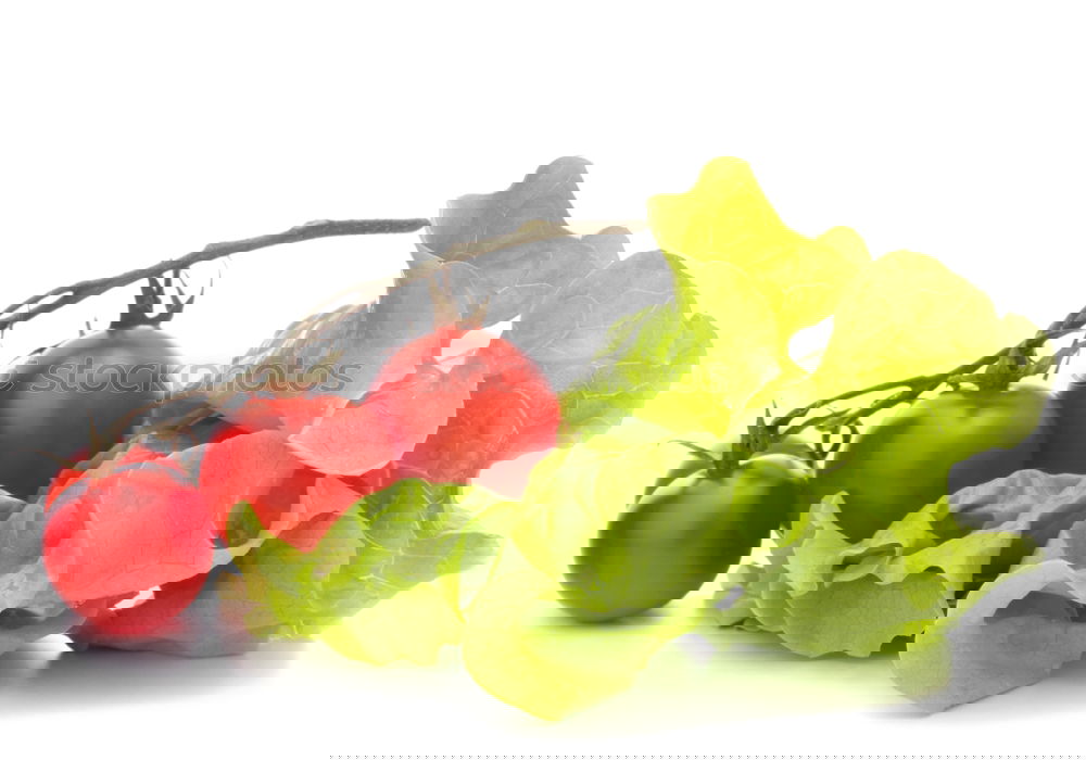 Similar – Image, Stock Photo White and red radishes with green leaves