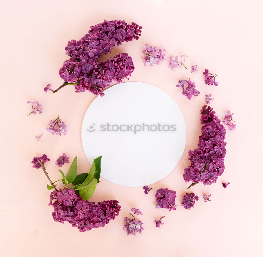 Similar – Image, Stock Photo Natural cosmetics for skin care