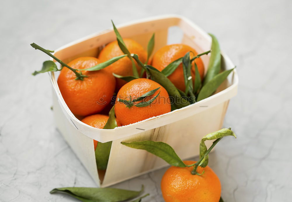 Similar – Image, Stock Photo Mandarins with green leaves