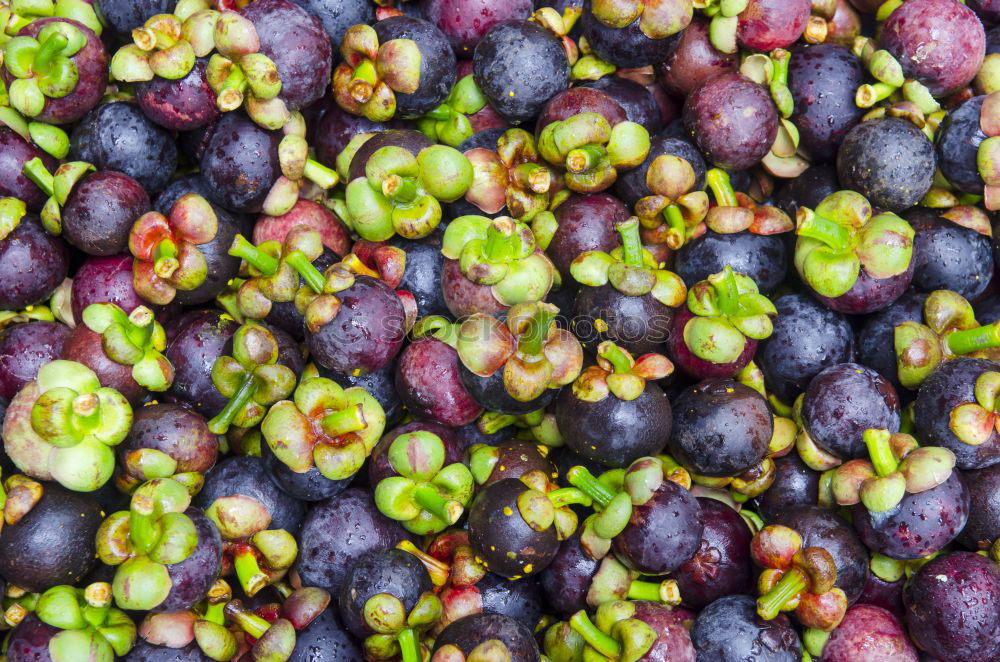 Similar – Ripe elderberries on a rustic wooden table