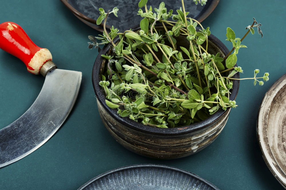 Similar – Image, Stock Photo cut Food Herbs and spices