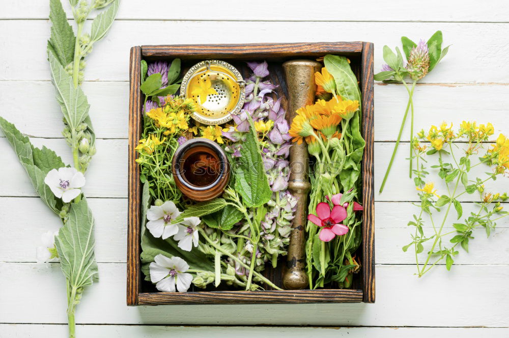 Similar – Autumn Decoration with Purple Aster