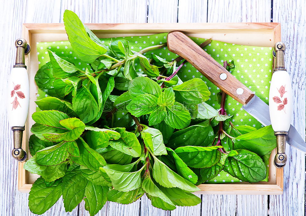 Similar – Image, Stock Photo Preparing fresh spinach for cooking